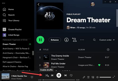 spotify shuffle pc.